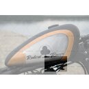 Zündspulenhalter Zündspule Montagekit passend für Harley ® Sportster® ab BJ 2007